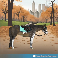 Horse Color:Buckskin Sabino 