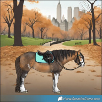 Horse Color:Buckskin Sabino