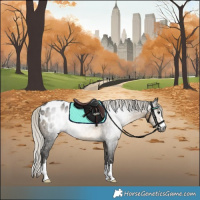 Horse Color:Gray Silver Buckskin Appaloosa 