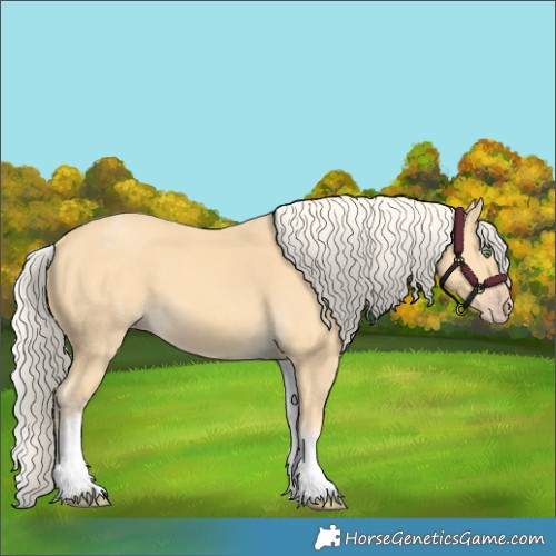 Horse Color:White Spotted Gold Cream Champagne 
