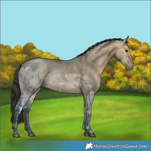 Horse Color:Bay Ice Dun 