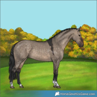 Horse Color:Brown Dun Tobiano 