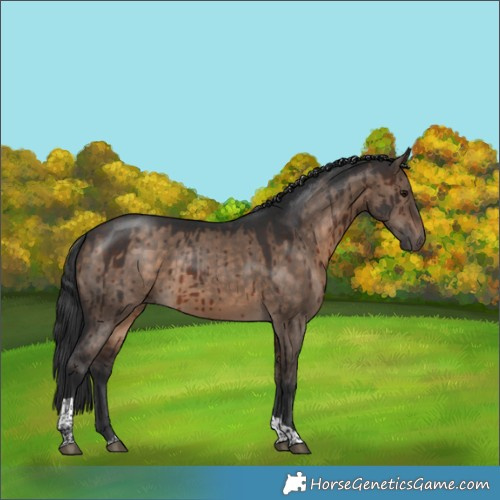 Horse Color:Brown Dun Tobiano Brindle 