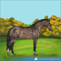 Horse Color:Brown Dun Tobiano Brindle 