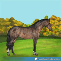 Horse Color:Brown Dun Tobiano Brindle