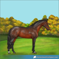 Horse Color:Brown 