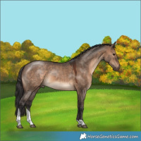 Horse Color:Brown Dun Tobiano 