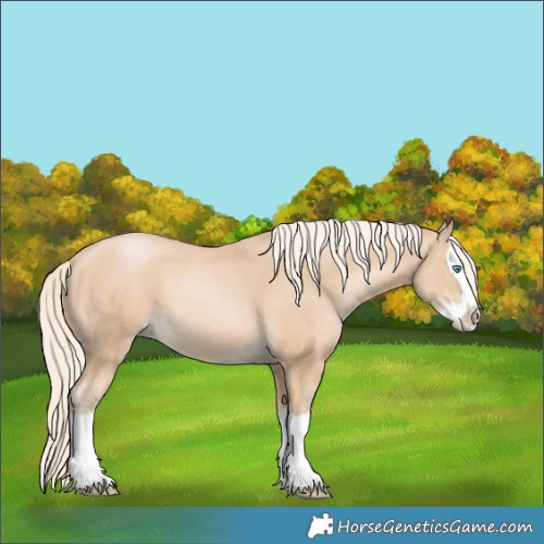 Horse Color:Palomino Pearl Splash 