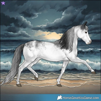 Horse Color:White Spotted Black and White Spotted Black Splash