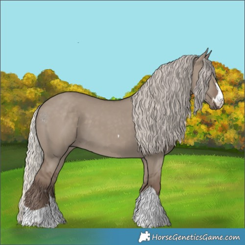 Horse Color:Silver Grullo