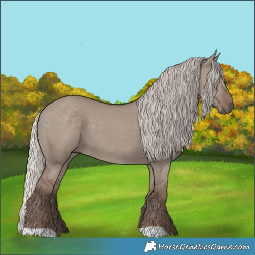 Horse Color:Silver Grullo 