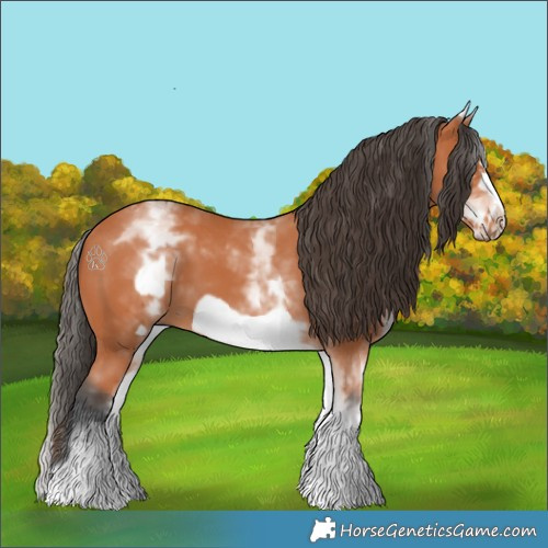 Horse Color:White Spotted Bay Frame