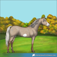 Horse Color:Silver Grullo Frame