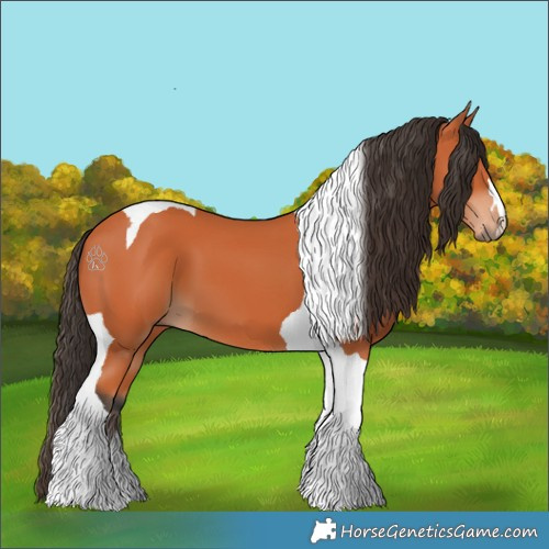Horse Color:Bay Tobiano 