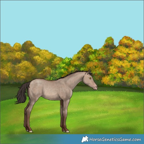 Horse Color:Sable Champagne Dun Rabicano 