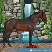 Horse Color:Brown 