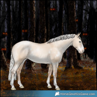 Horse Color:White Spotted Silver Bay Pearl Dun Splash Tobiano Appaloosa Rabicano