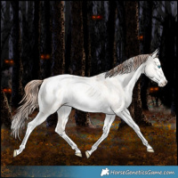 Horse Color:White Spotted Amber Champagne Pearl Dun Tobiano Frame Appaloosa Rabicano