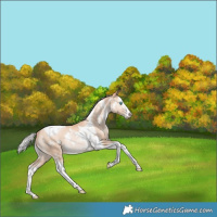 Horse Color:White Spotted Silver Amber Champagne Snowdrop Splash Tobiano Snowflake VarnishRabicano 