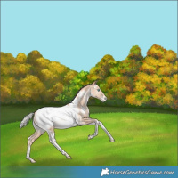 Horse Color:White Spotted Silver Sable Champagne Snowdrop Pearl Tobiano Near Fewspot Rabicano 