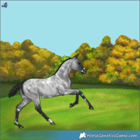Horse Color:White Spotted Blue Roan Snowflake Varnish 