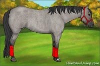 Horse Color:Grullo Roan Rabicano
