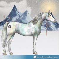 Horse Color:Chestnut Ice Splash Tobiano 