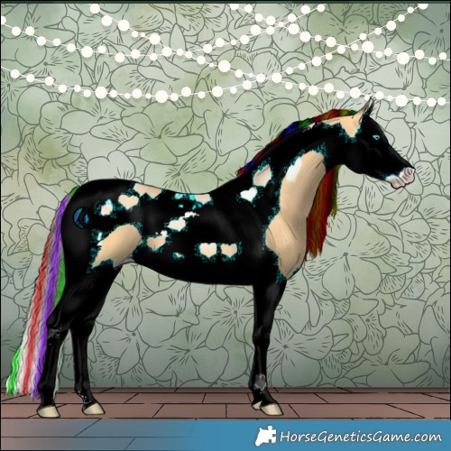 Horse Color:Painted Buckskin Splash Tobiano 