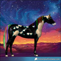 Horse Color:Painted Buckskin Splash Tobiano