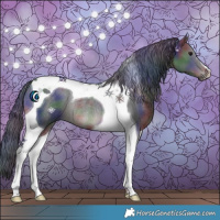 Horse Color:Nacre Black Tobiano Rabicano 