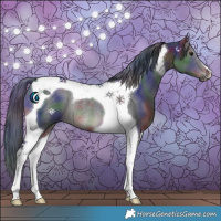 Horse Color:Nacre Black Tobiano Rabicano