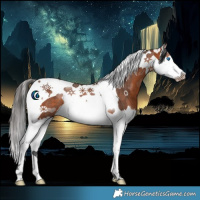 Horse Color:Bay Splash Tobiano Rabicano 
