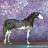 Horse Color:Painted Midnight Bay Ice Splash Rabicano