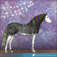 Horse Color:Painted Midnight Bay Ice Splash Rabicano 