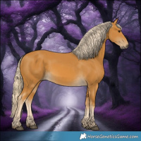 Horse Color:Palomino 