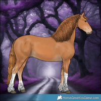 Horse Color:Chestnut Tobiano 