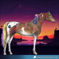 Horse Color:Painted Nacre Silver Brown Tobiano
