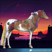 Horse Color:Painted Nacre Silver Brown Tobiano 