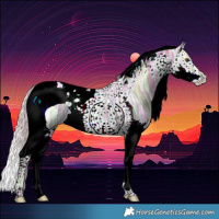 Horse Color:Silver Bay Ice Dun Splash Tobiano Rabicano 