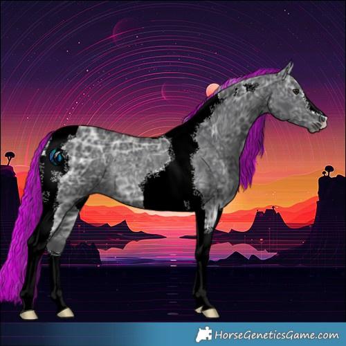 Horse Color:Painted Black Ice Tobiano Rabicano 