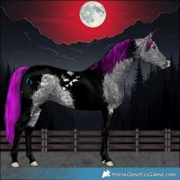 Horse Color:Painted Black Ice Tobiano Rabicano 