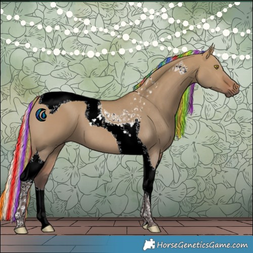 Horse Color:Painted Silver Bay Dun Tobiano 