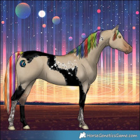 Horse Color:Painted Silver Bay Dun Tobiano