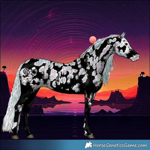 Horse Color:Watercolor Silver Brown Onyx Sabino Appaloosa Rabicano 