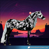 Horse Color:Watercolor Silver Brown Onyx Sabino Near Leopard Rabicano
