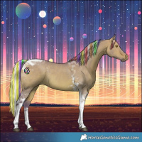 Horse Color:Painted Watercolor Silver Bay Dun Tobiano Rabicano 