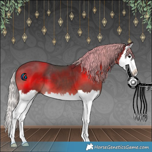 Horse Color:White Spotted Silver Black Splash 