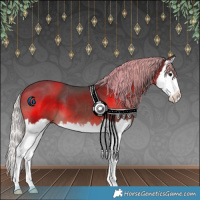 Horse Color:White Spotted Silver Black Splash 