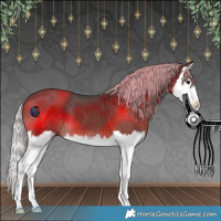 Horse Color:White Spotted Silver Black Splash 