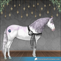 Horse Color:Watercolor Silver Brown Ice Roan Splash Frame 